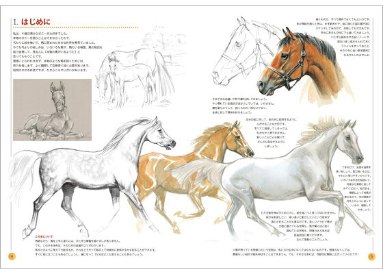 楽天ブックス Horse やさしい馬の描き方 骨格 生態 バランスがわかる 本